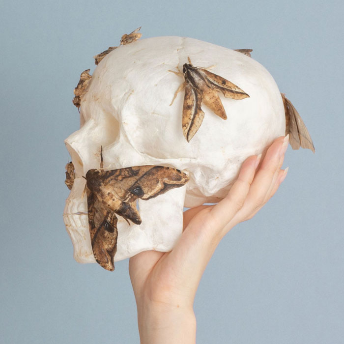 ウチダリナ作品