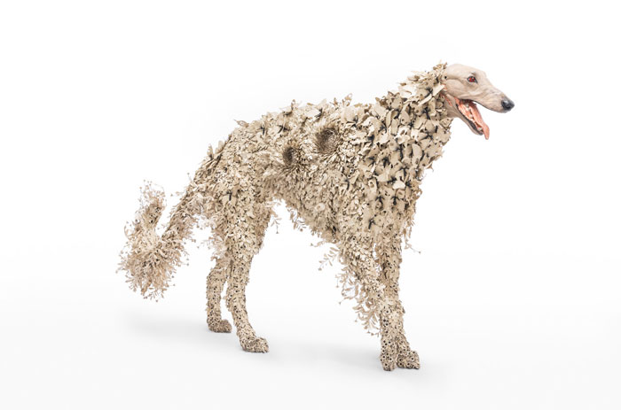 吉田泰一郎作品